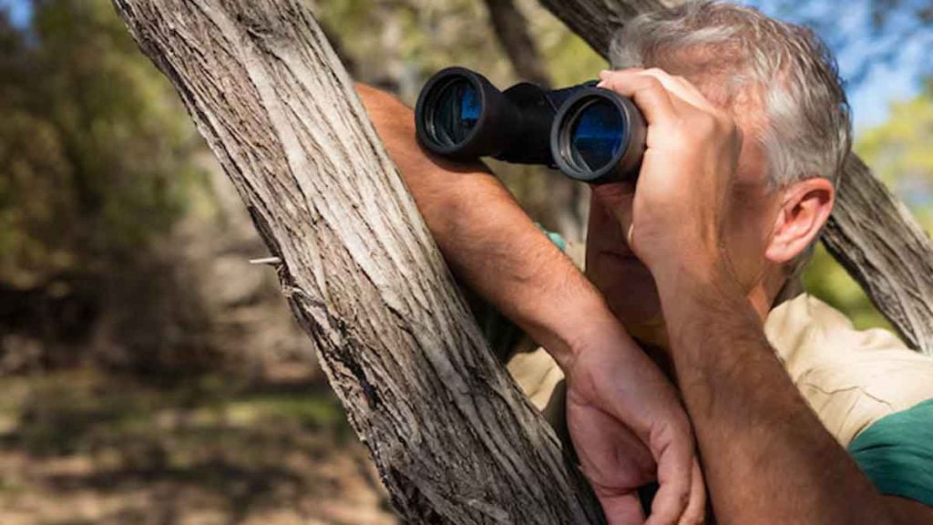 « Mon voisin a coupé l’arbre dans mon jardin pour m’espionner pendant que je bronze »